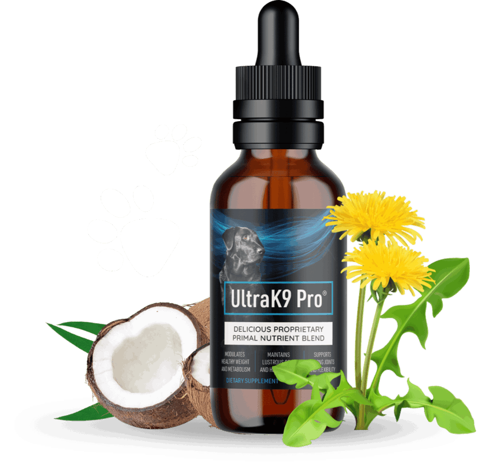 Ultra K9 Pro™ - USA Official Website | #1 Dog Health